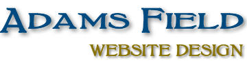 Adams Field Website Design Taunton
